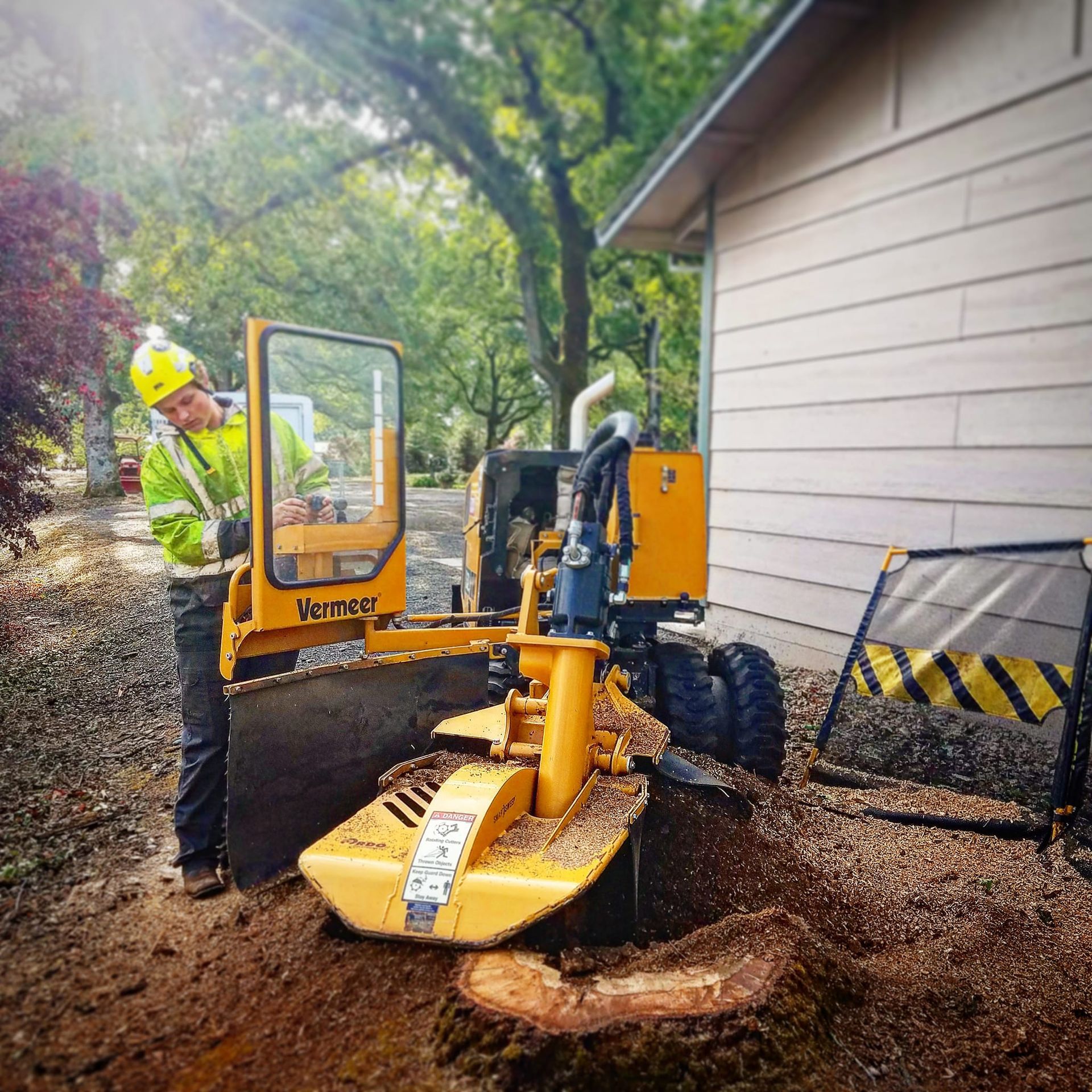 About trees grinds a stump in Redding, CA