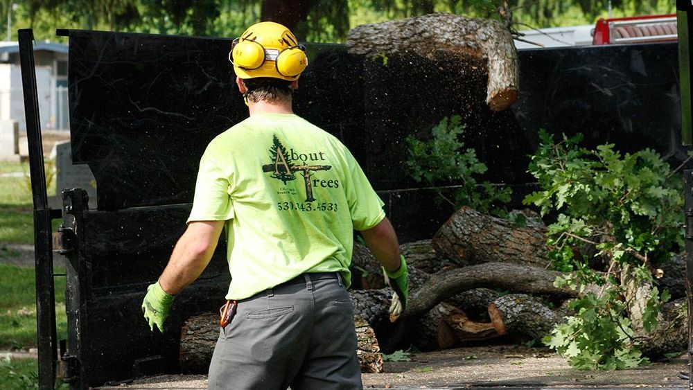 Defensible Space Landscape