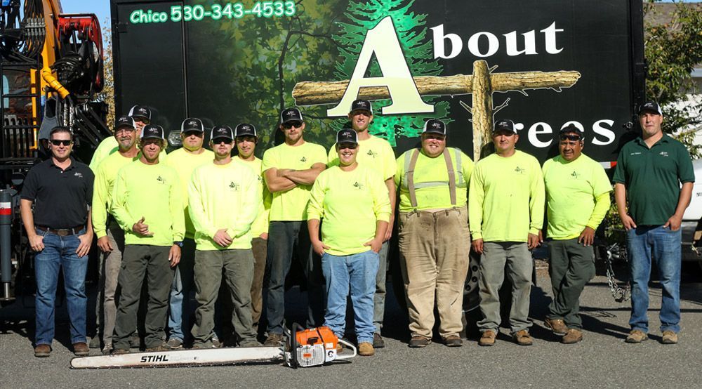 About Trees Tree Services in Redding, CA