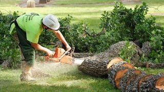 A man cutting the tree with machine