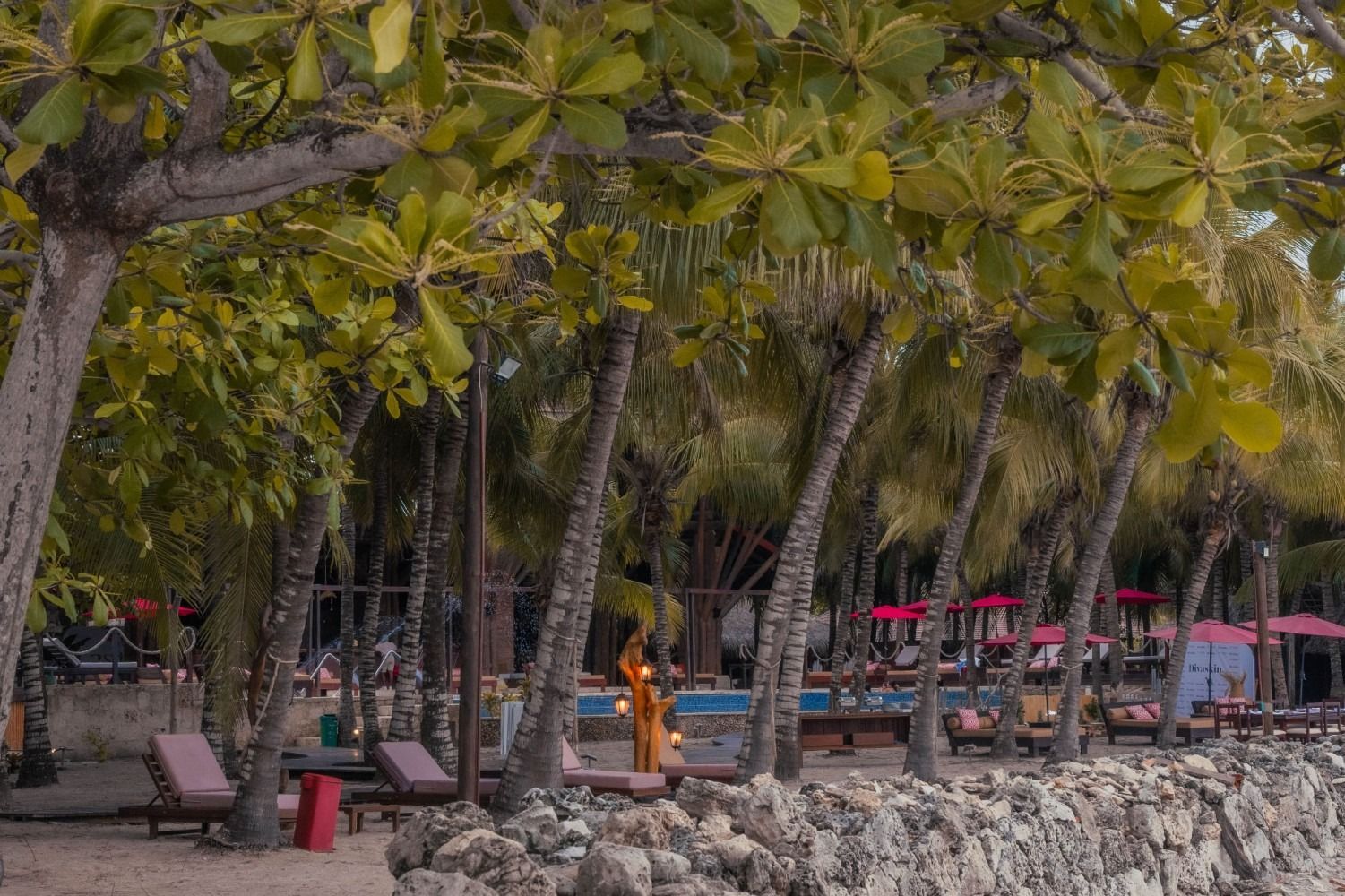 Beach scene with trees, lounge chairs, and red umbrellas.