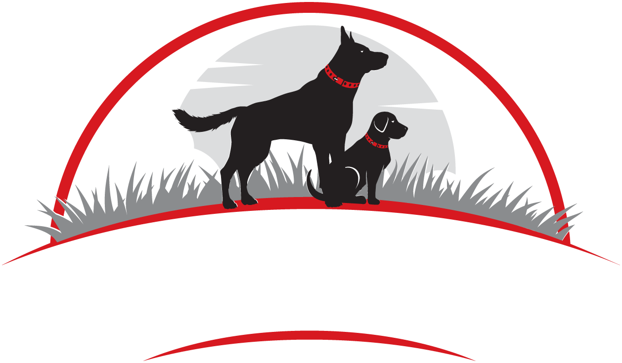 Expert Dog Trainers in Brisbane - Your Dog Coach