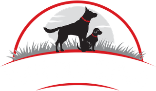 Expert Dog Trainers in Brisbane - Your Dog Coach