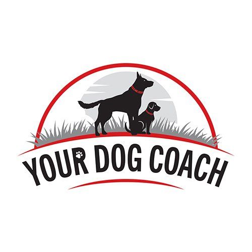 About Your Dog Coach