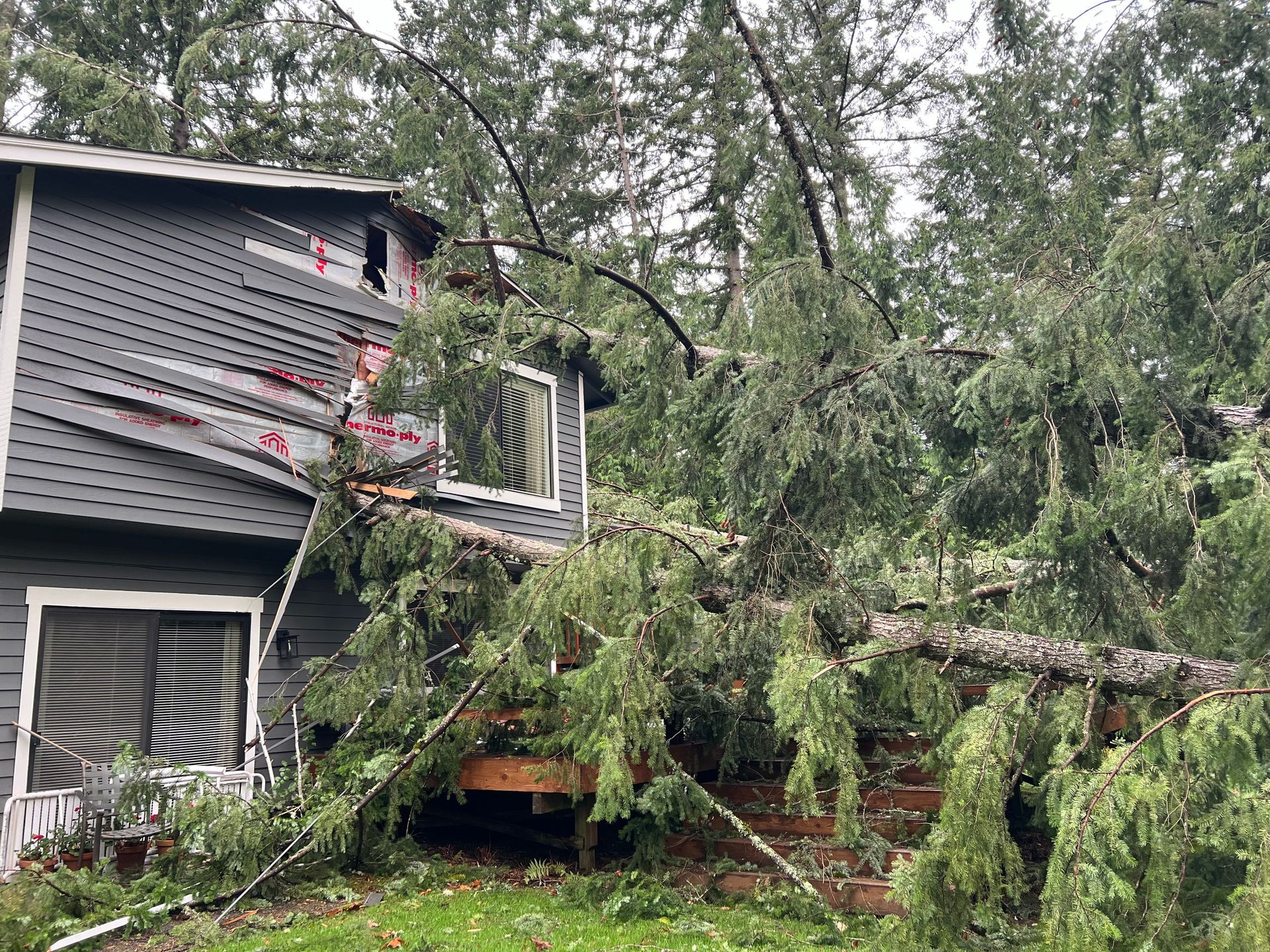 A tree has fallen on a gray house, damaging the roof and deck.
