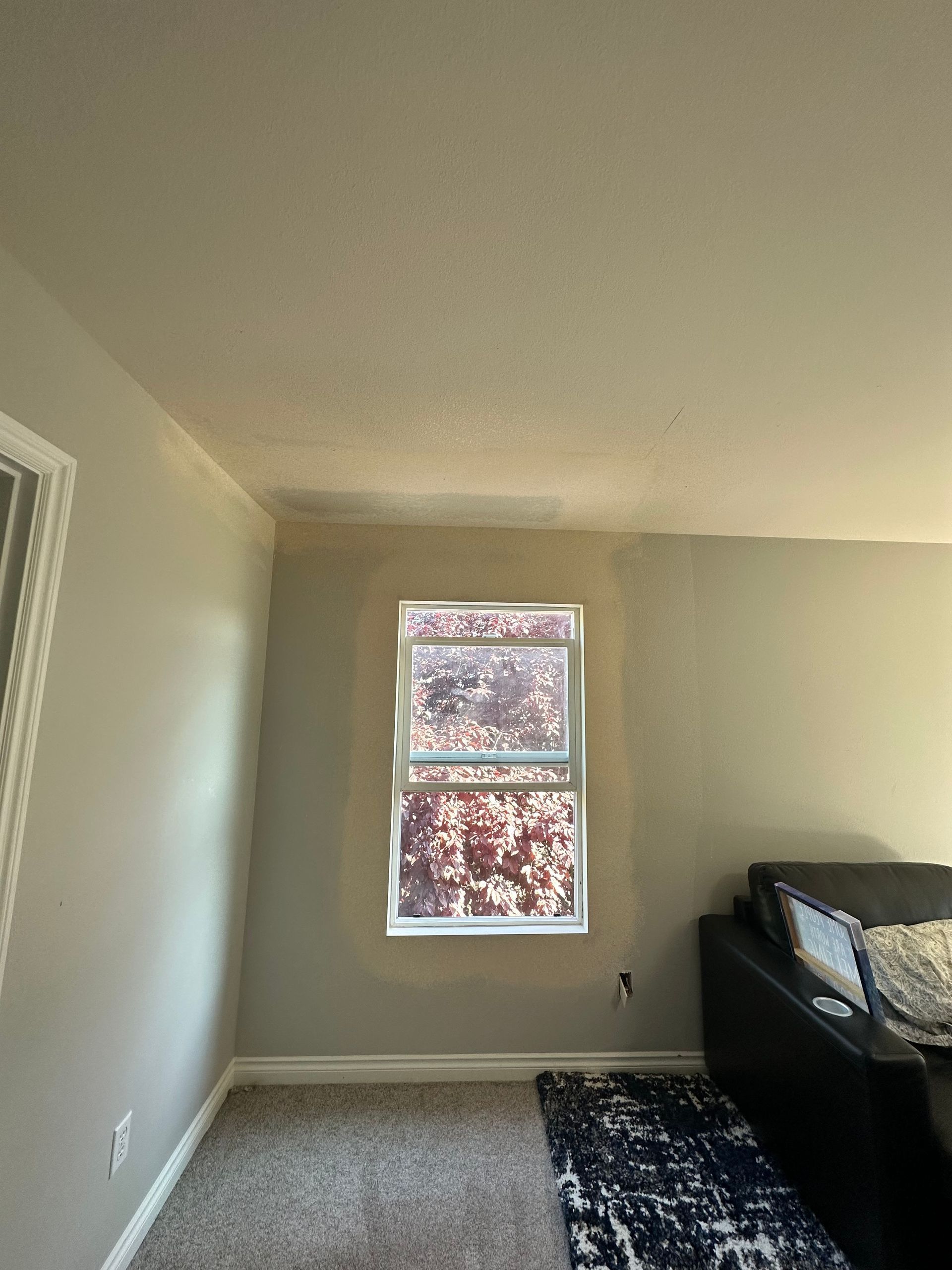 Interior room with window, gray walls, beige ceiling, black couch, rug.