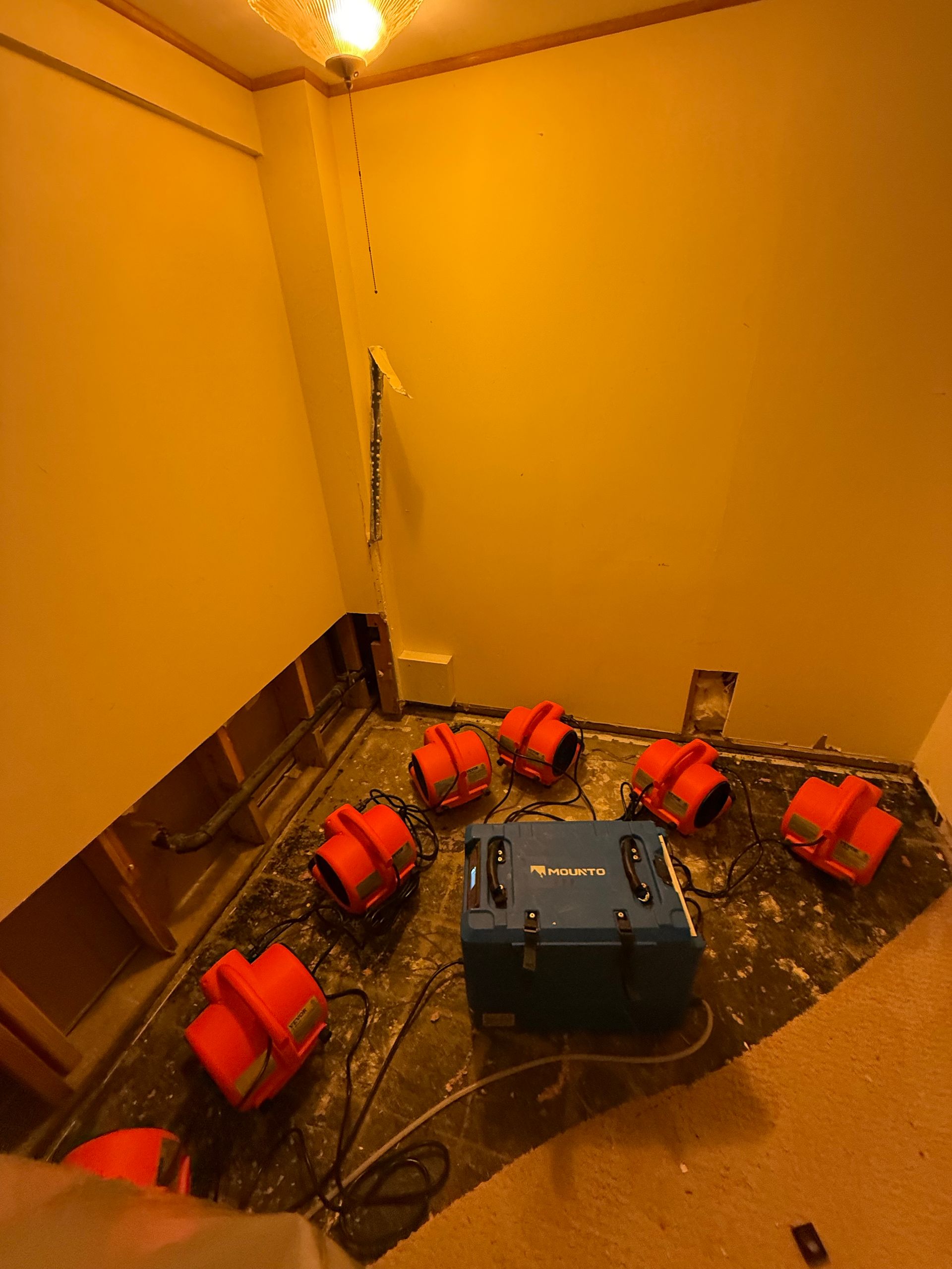 A room with water damage being dried; several red fans surround a blue machine on the floor. Walls are yellow.