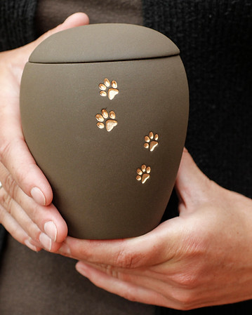 A person is holding a brown urn with paw prints on it