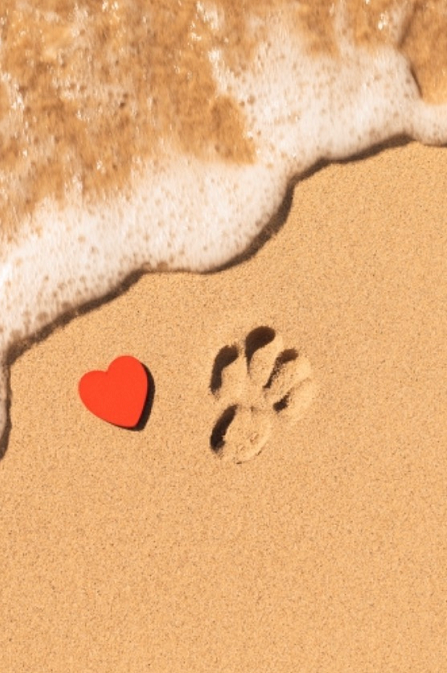 A red heart and footprints in the sand on a beach.