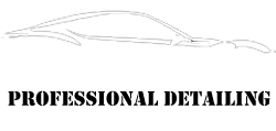 A black and white drawing of a car with the words `` professional detailing '' below it.