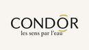 Logo condor balneo