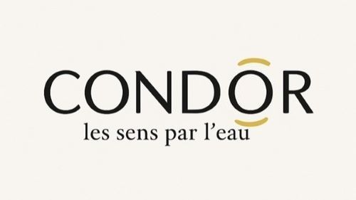 Logo condor balneo