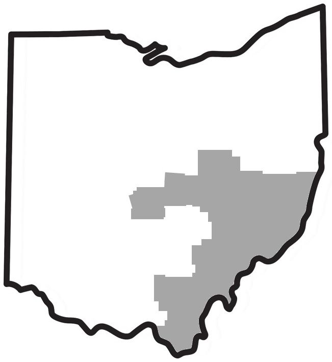 Trial Attorney Licensed in Ohio