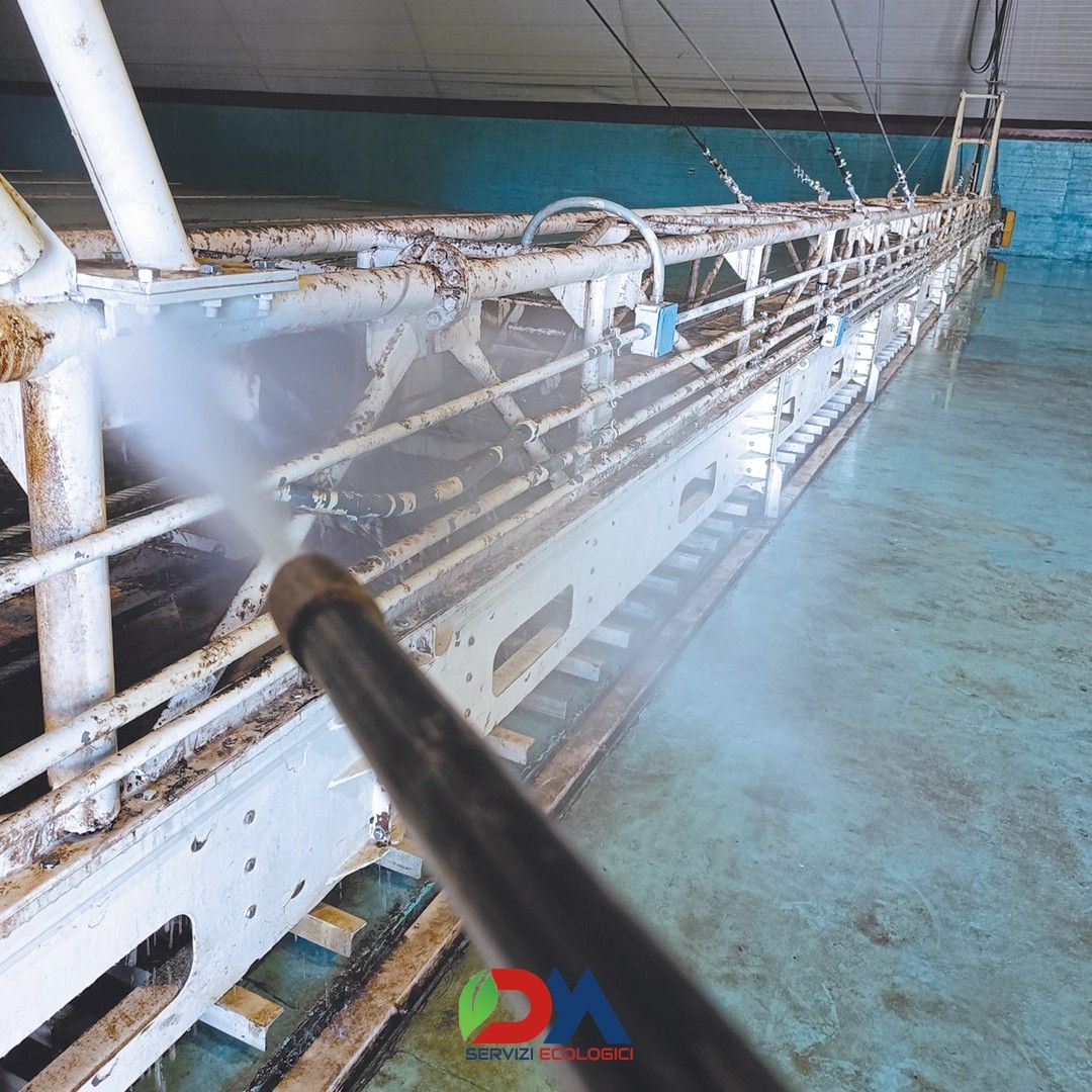 DM Servizi Ecologici Campolongo Maggiore