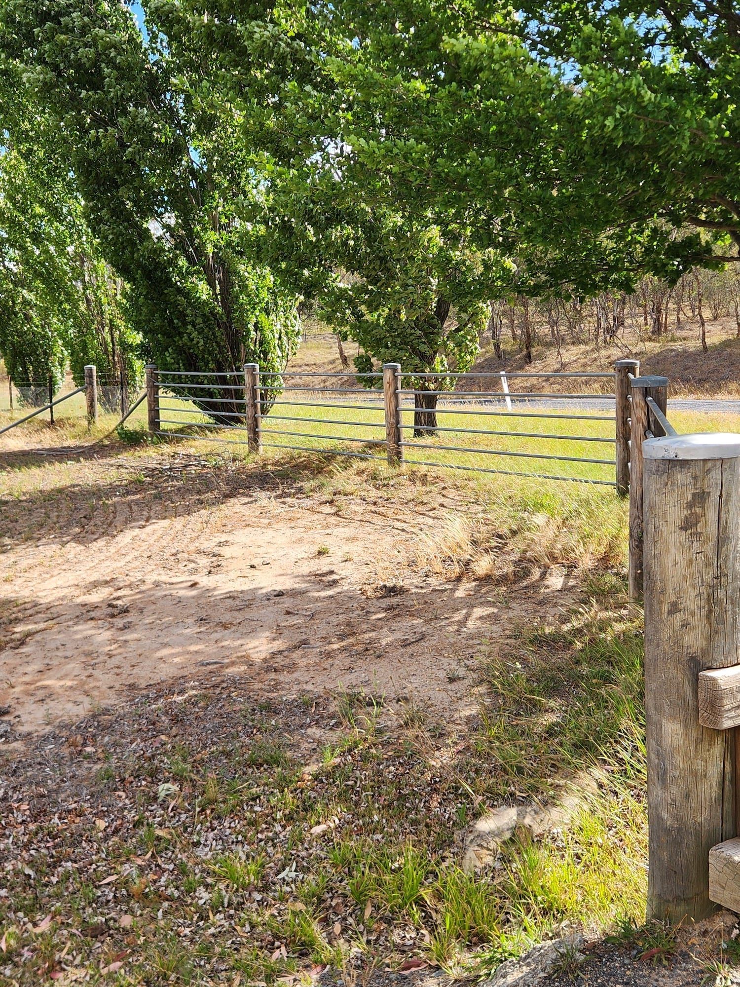 Dirt track leading to a gate with wooden posts and a wire fence, under a large green tree.