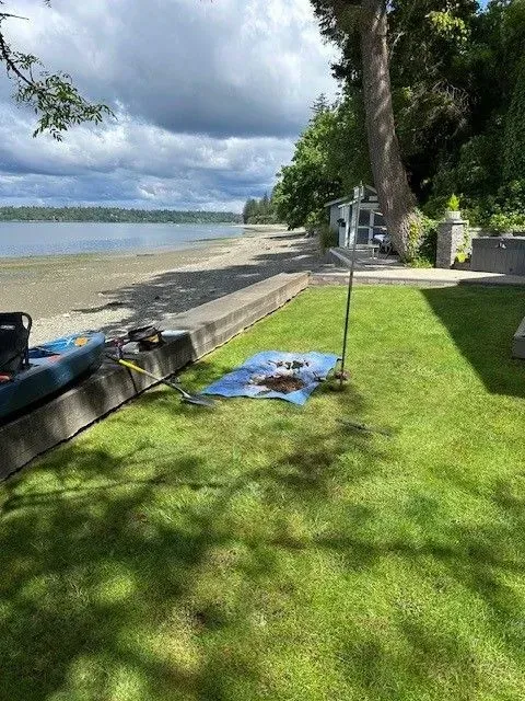 Lush green lawn with a blanket and objects on it, beach and water in background. Tree on the right.