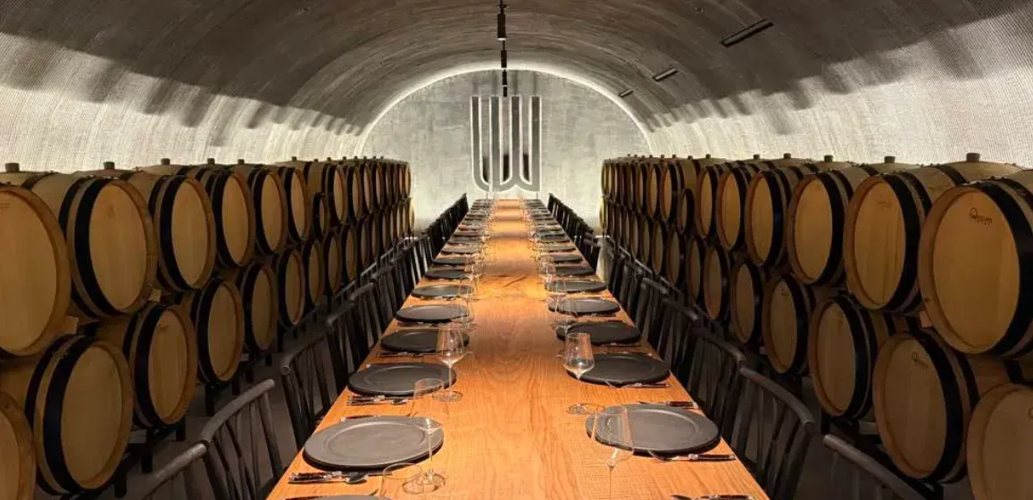Wine cellar with wooden barrels lining the walls, table set for dining.