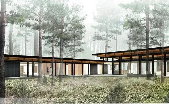 Modern house nestled in a foggy forest. 