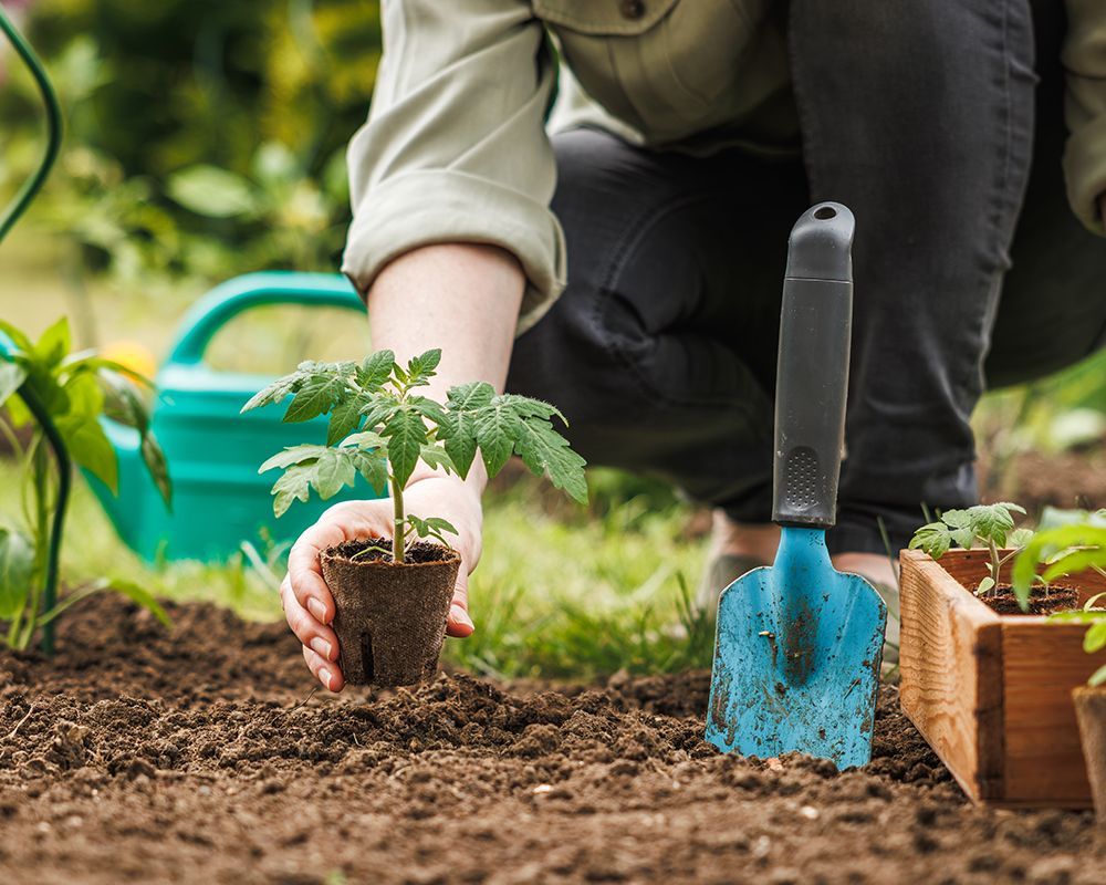 Worker Planting Plants