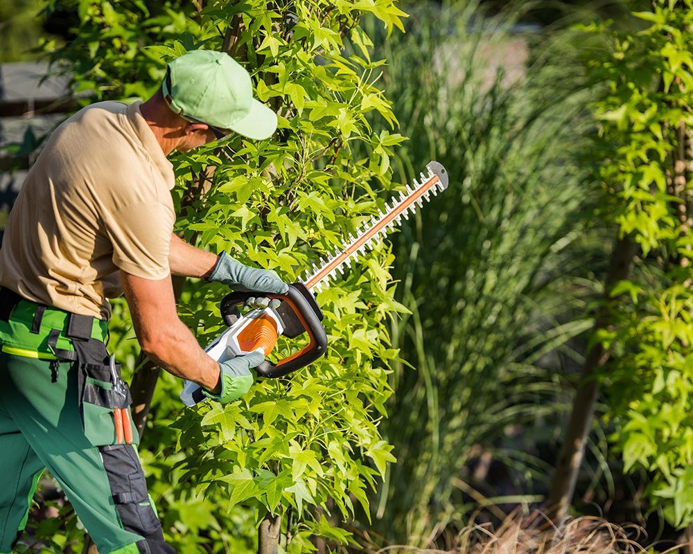 Worker TrimmingTree 