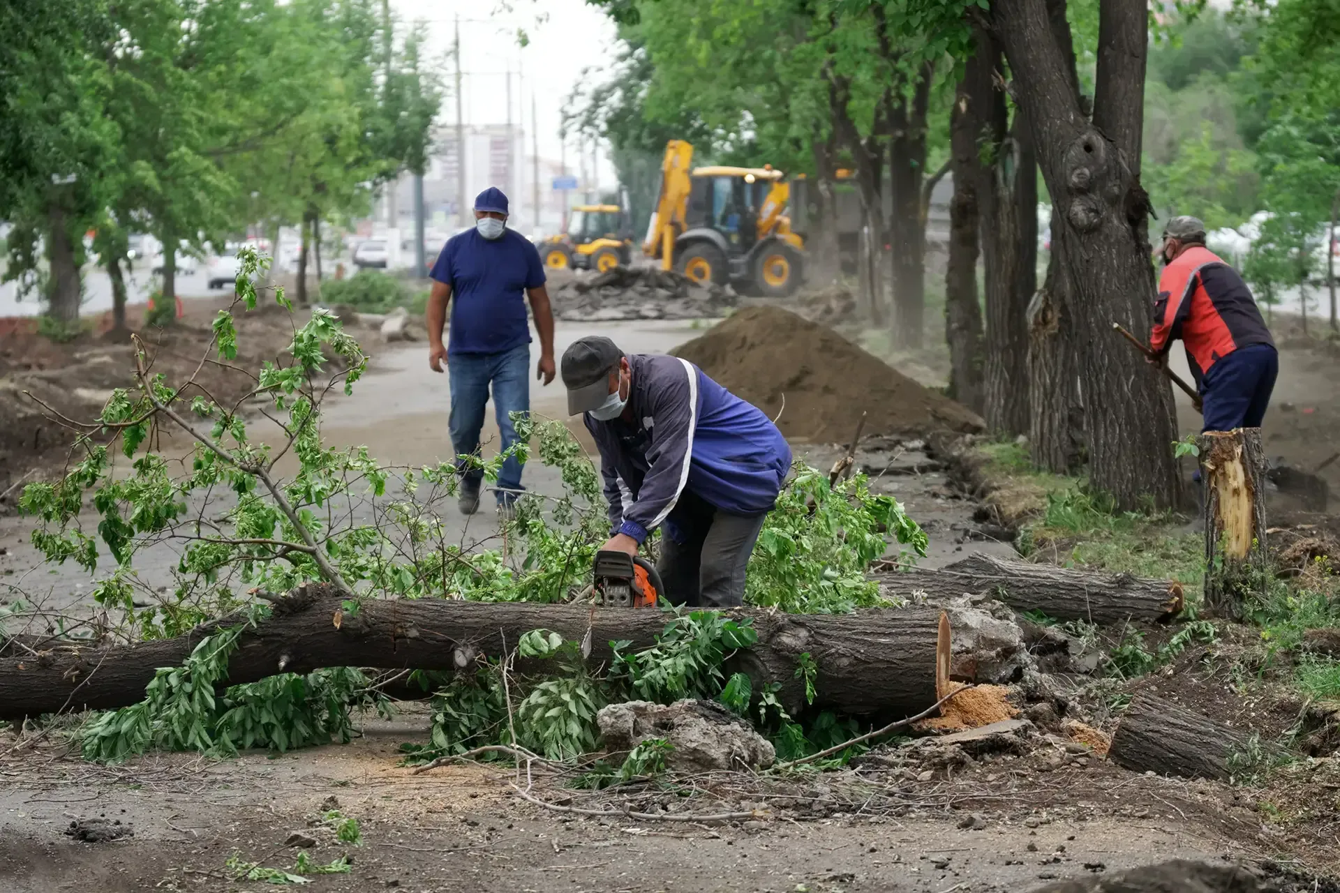 chop tree service