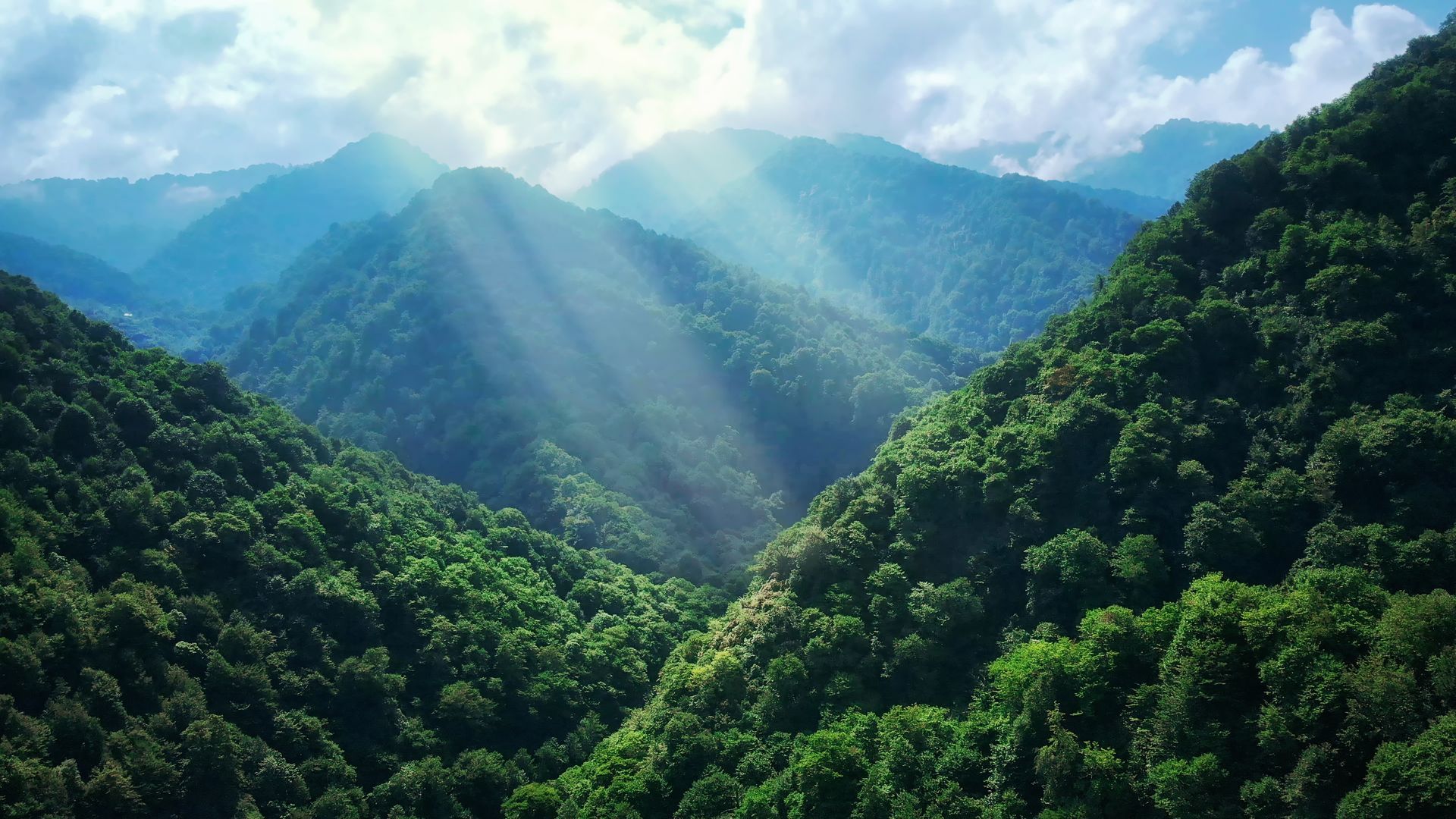 North Carolina Watershed