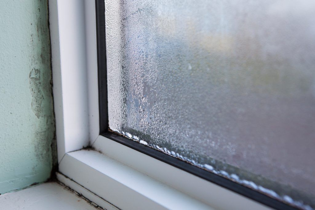 A window with condensation, inside corner of a room, moisture on the glass, white frame, green wall.