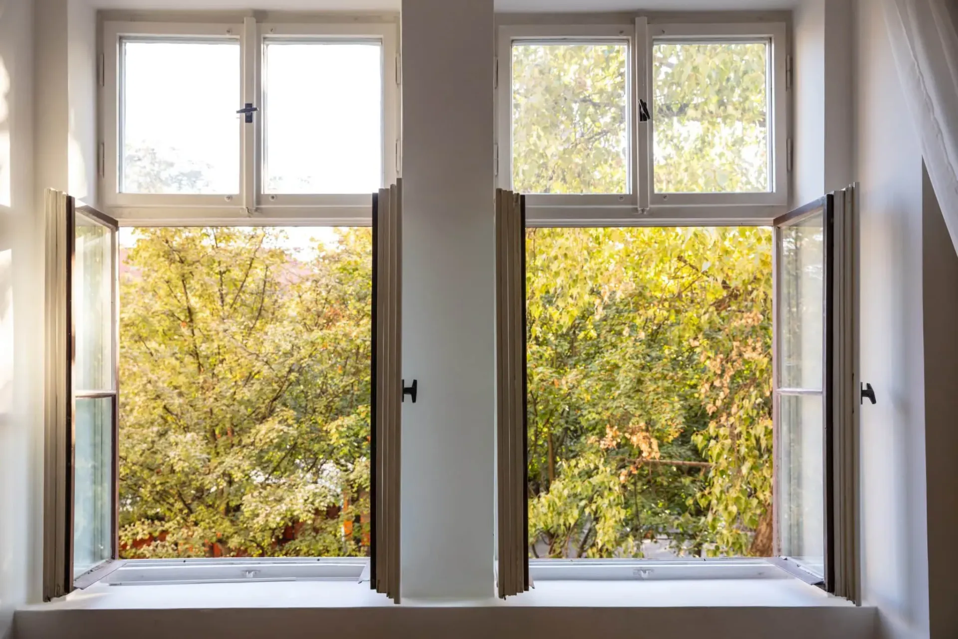 FL window and door Ocala