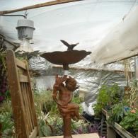 A bronze-colored cherub garden statue holding a shallow basin with a bird on top, inside a greenhouse.