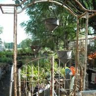 A rusty metal archway stands in a plant nursery, with vintage metal cone-shaped funnels hanging from the top.