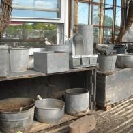 Galvanized metal containers, buckets, and plant pots displayed on wooden shelves inside a greenhouse.