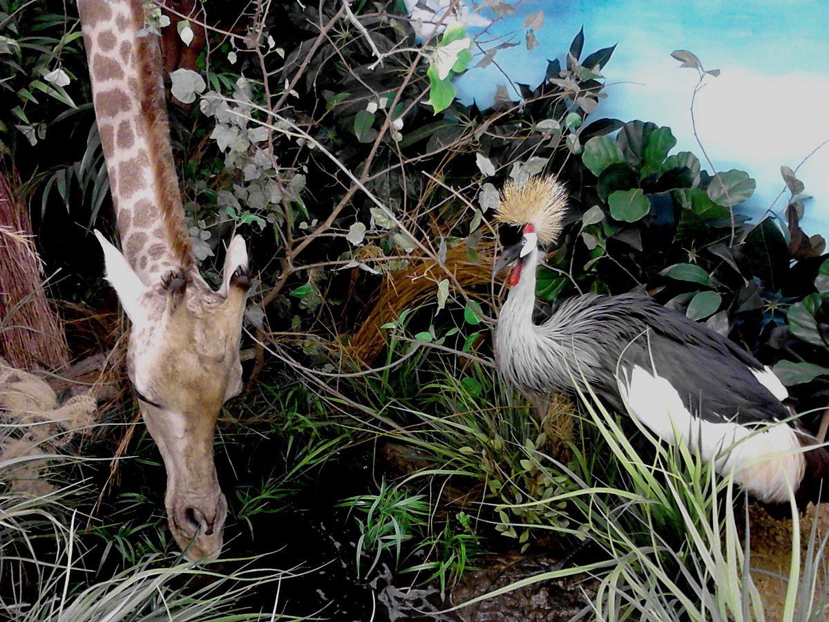 Hidden gems near Princeton TX for RV travelers.