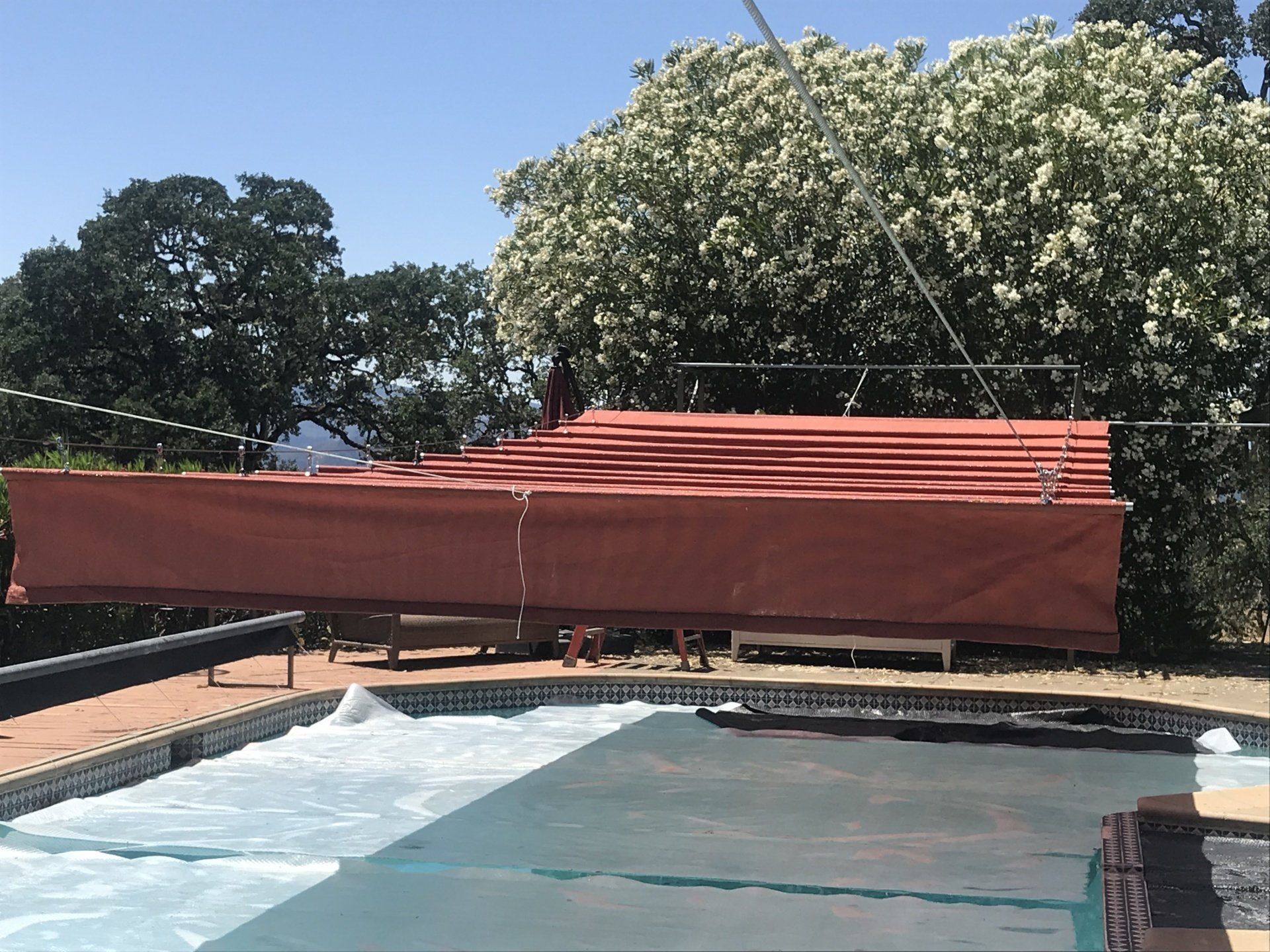 A row of red umbrellas are hanging over a swimming pool
