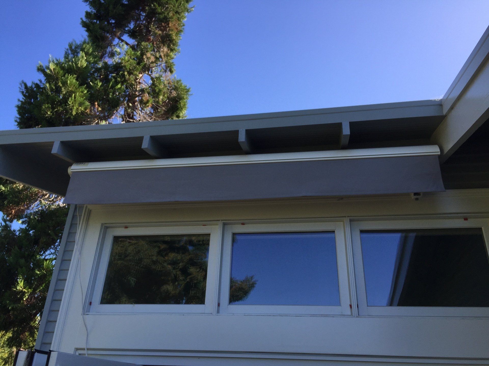 A house with a lot of windows and a tree in the background
