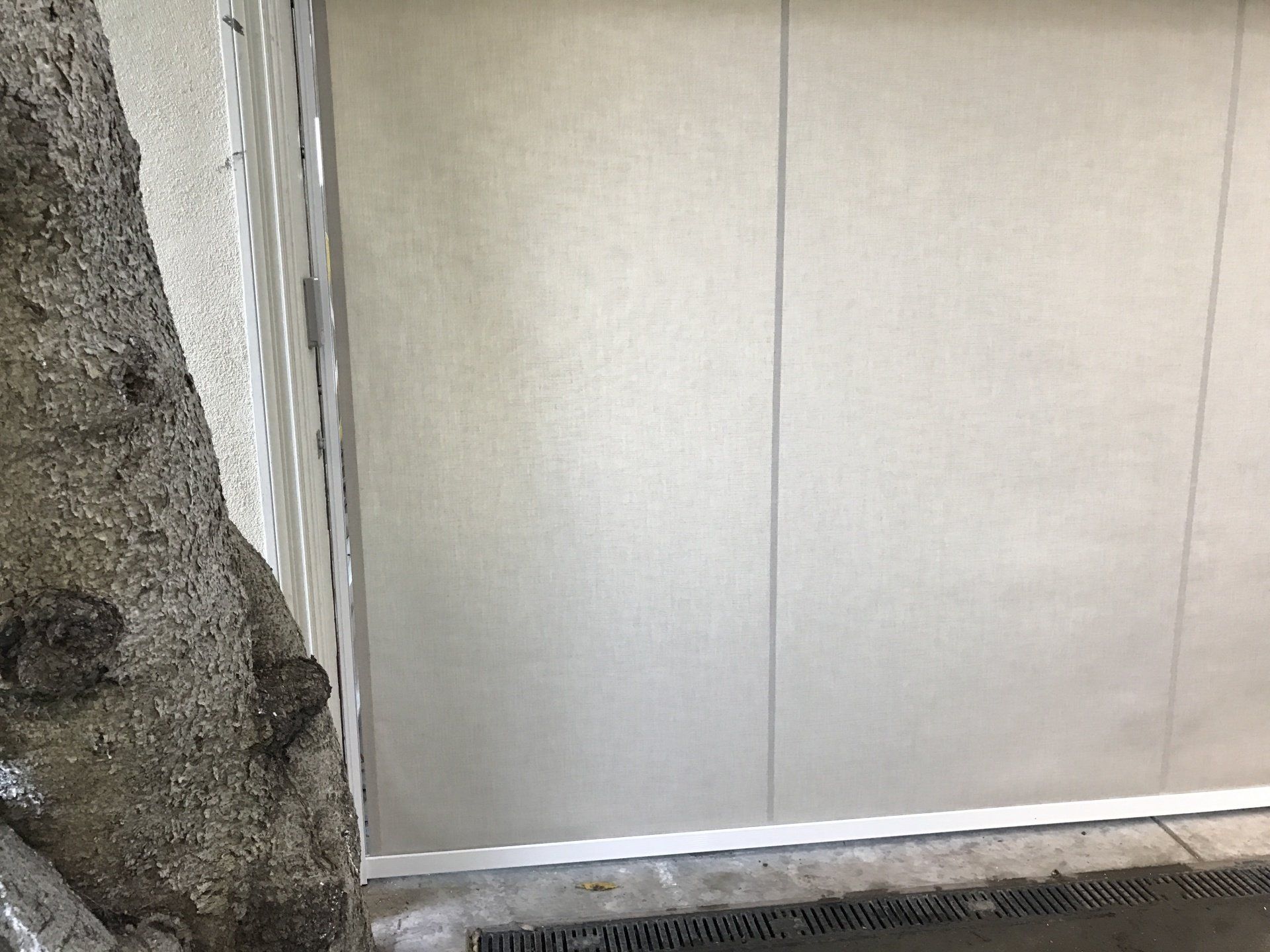 A close up of a wall with a tree in the background.