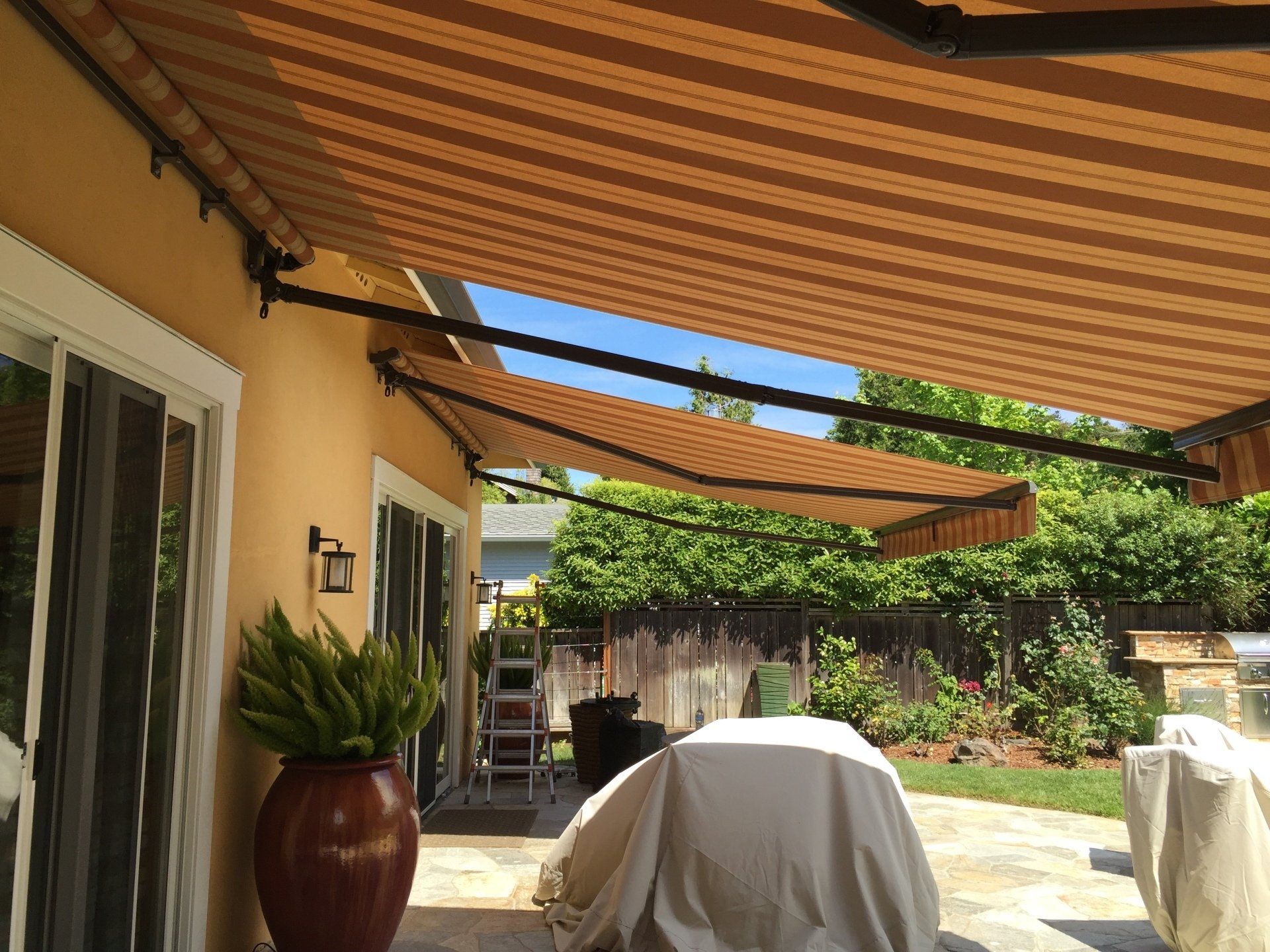 A patio with a striped awning and a potted plant