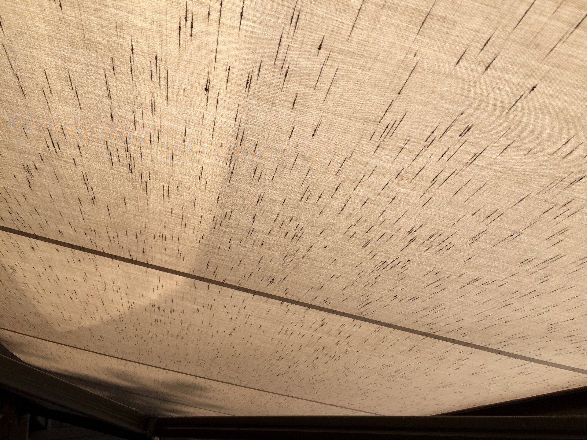 A close up of a ceiling with a lot of dots on it