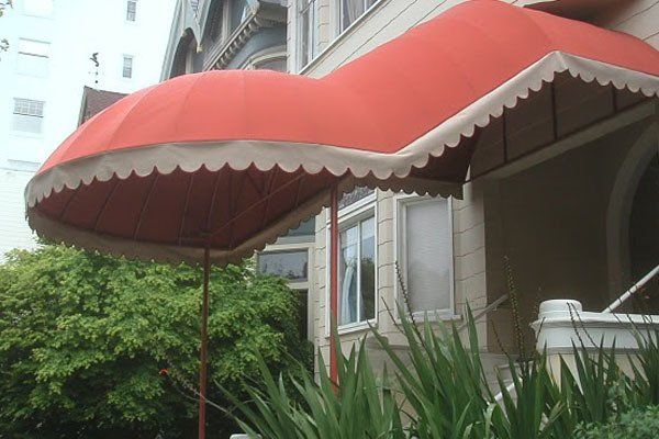 canopy