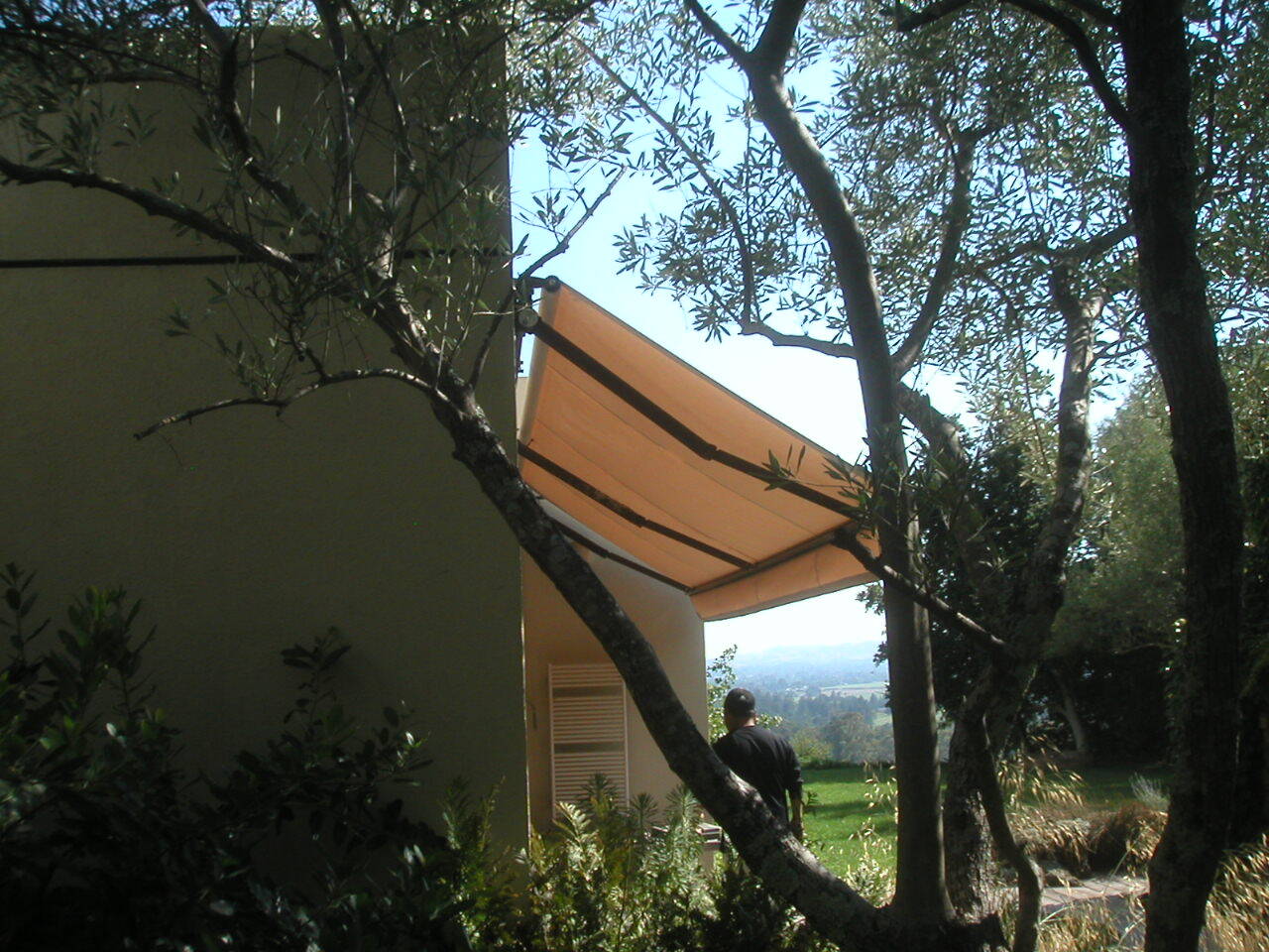 An awning is hanging from a tree in front of a house