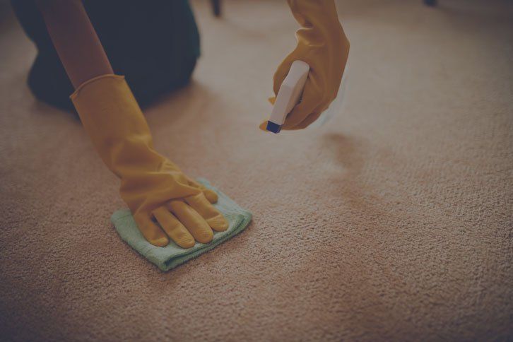 weclean carpets and more