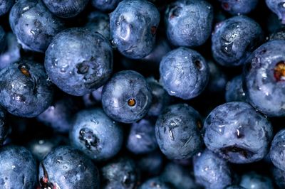 Close-up of fresh blueberries, dark blue with tiny water droplets.