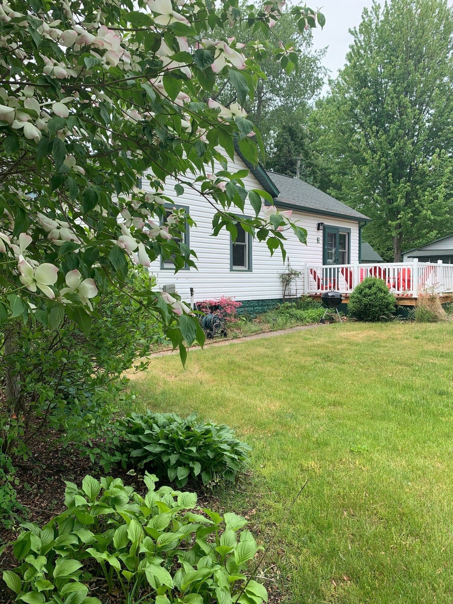 White house with a small porch and blooming tree in front. Green grass and garden in the yard.