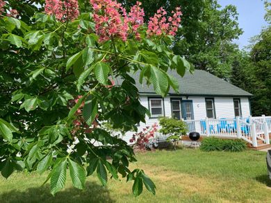 White cottage with green roof and deck, lush green foliage and pink flowers in foreground.