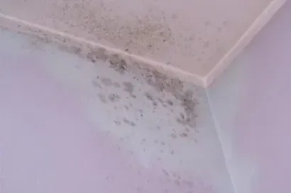 Crescita di muffa sull'angolo di una parete e del soffitto, con colorazione scura.