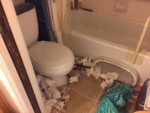 Bathroom Before - Professional Cleaning Services in Santa Cruz, CA