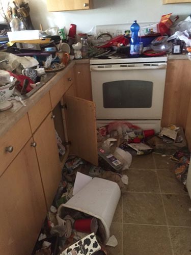 Kitchen Before - Professional Cleaning Services in Santa Cruz, CA