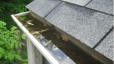 Roof gutter filled with stagnant water and debris beside a gray shingled roof