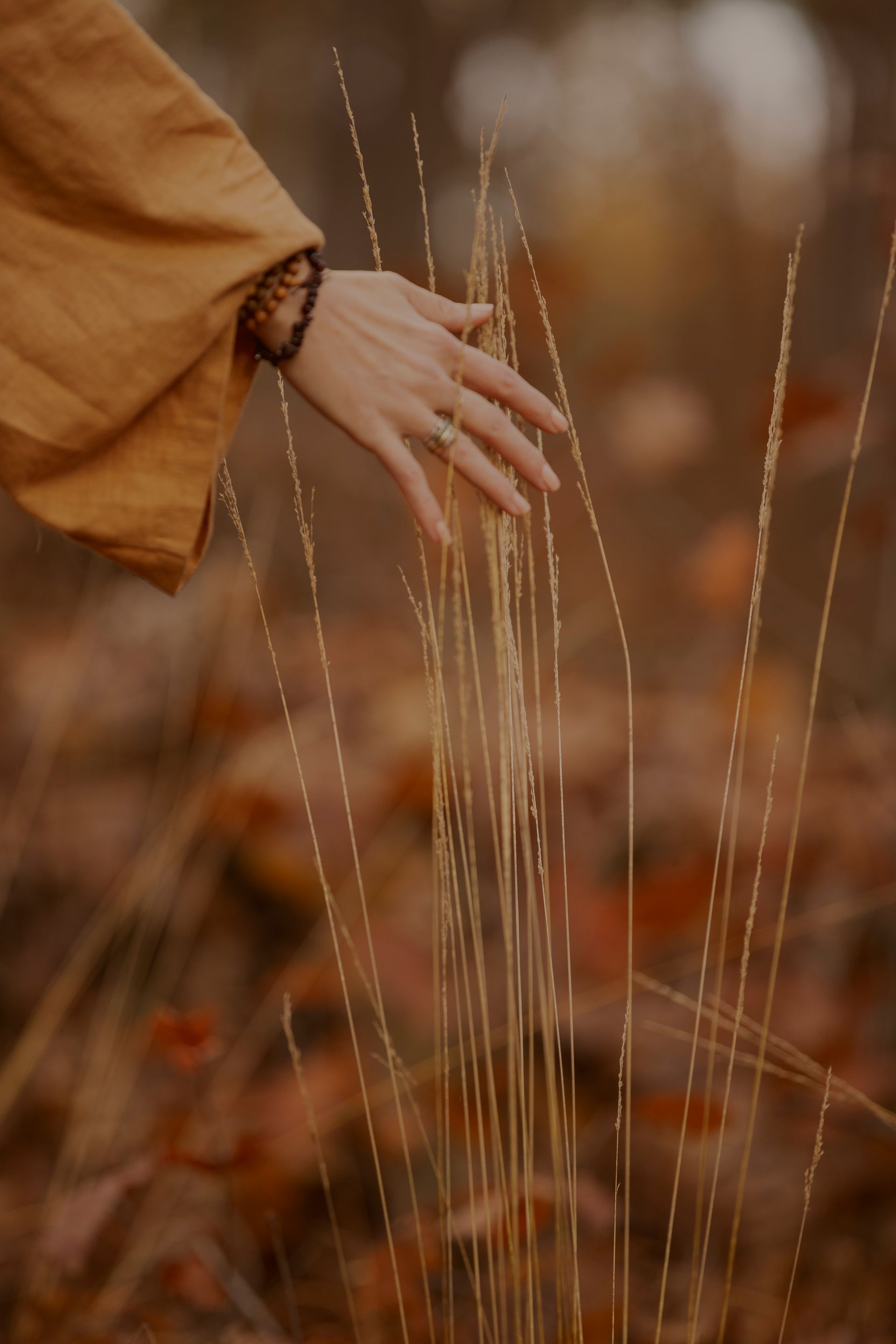 marosa plantmedicijn