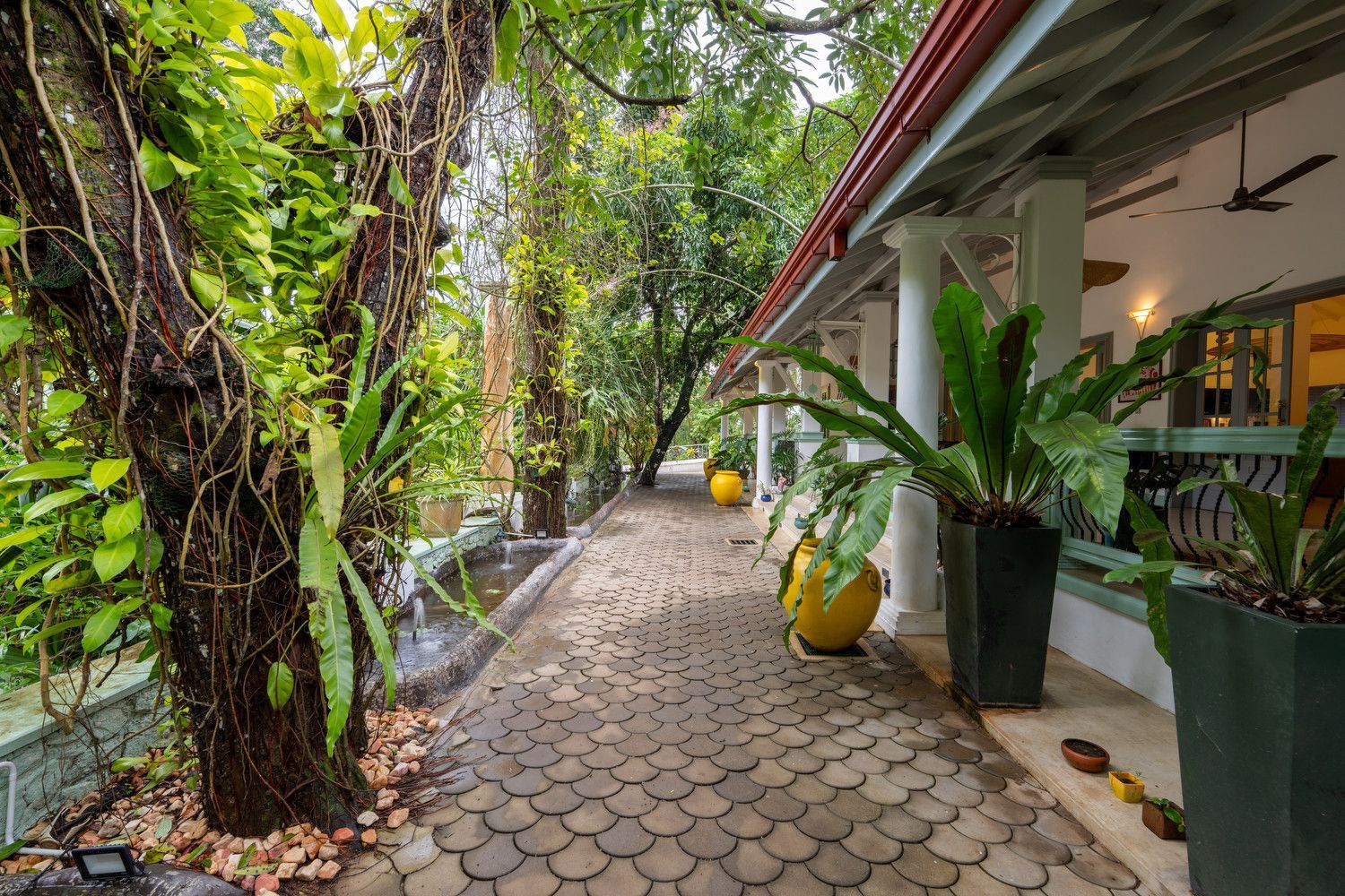 A stone-paved walkway lined with large potted plants and tropical trees runs beside an open-air building with columns.