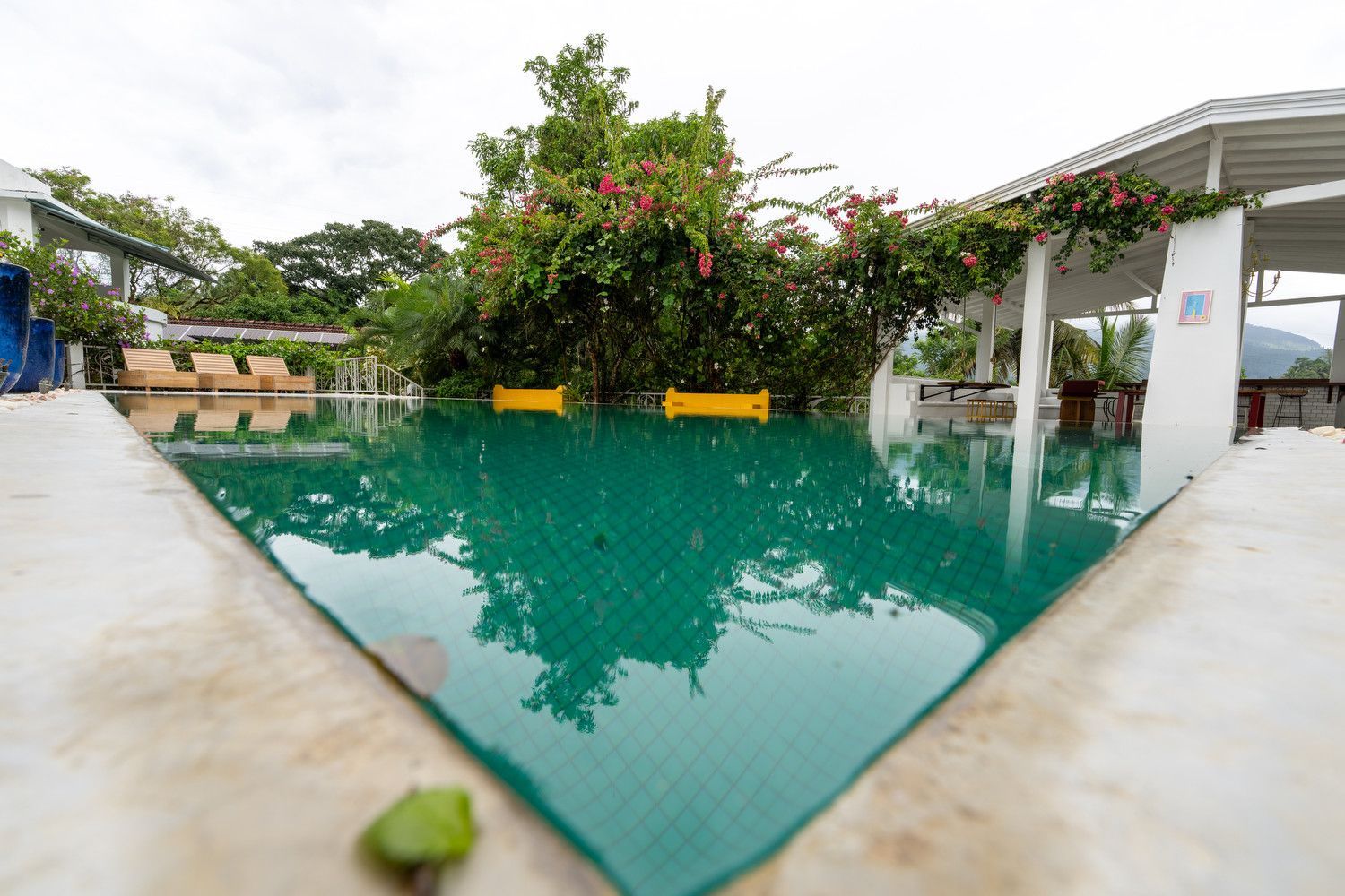 Swimming pool with green water, surrounded by white structures and green foliage.